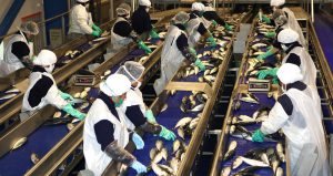 Manual de registro para actividades de procesamiento de harina y aceite de pescado