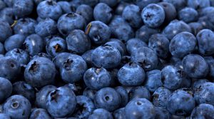 Exportaciones peruanas de arándanos cayeron en 52%