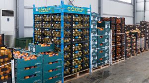 Perú supera a Chile en desempeño de exportaciones de frutas