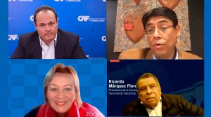 Yolanda Torriani: «Hay que dar facilidades a las empresas»