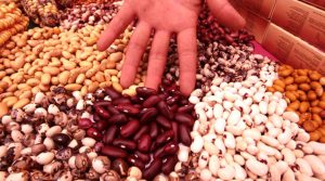 Importación de menestras creció más de 72 % hasta mayo