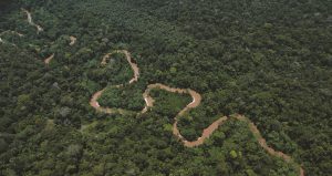 Datos geoespaciales permitirán conservar zonas de mayor biodiversidad