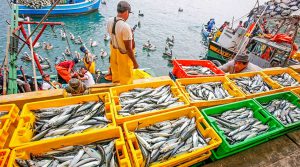 25 actividades económicas moderaron su caída en junio