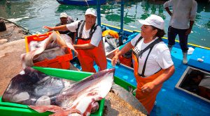 Nuevas oportunidades para el sector pesquero
