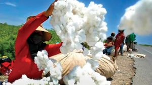 EE.UU. reafirma demanda por textiles de calidad