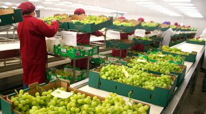 Hoja de ruta de internet industrial para Ica