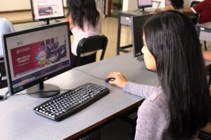 ¿Cuáles son las regiones con mayor conexión a internet fijo mediante fibra óptica en el primer trimestre?