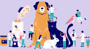 La creciente industria de los pet shops