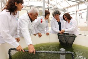 Más de 1.800 científicos y 500 laboratorios de universidades ofrecen soporte a empresas