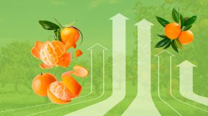 Oportunidades comerciales de frutas cítricas en el mundo