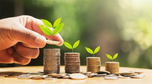 ¿En qué países se ha ejecutado el programa AL-INVEST Verde y cuáles son?