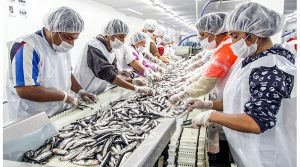 Oportunidades en el exterior para el sector pesquero peruano