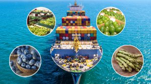 Agroexportaciones peruanas aumentan en el Reino Unido