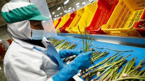 Hay que fortalecer el Mincetur