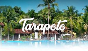 SUPER TOURS : ¡Recárgate de energía y disfruta de una aventura en la selva!