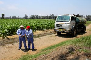 Día Mundial del Medio Ambiente: Ajinomoto elabora fertilizantes con residuos de su producción