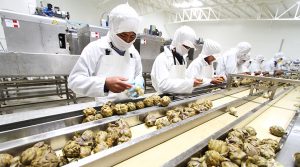 Agroexportaciones peruanas registran un muy buen desempeño desde 2018