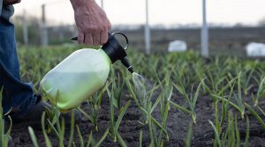 Fertilizantes para el Perú: No hay tiempo que perder