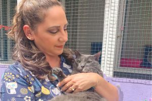 Nana Cats: conoce la guardería especializada en gatos