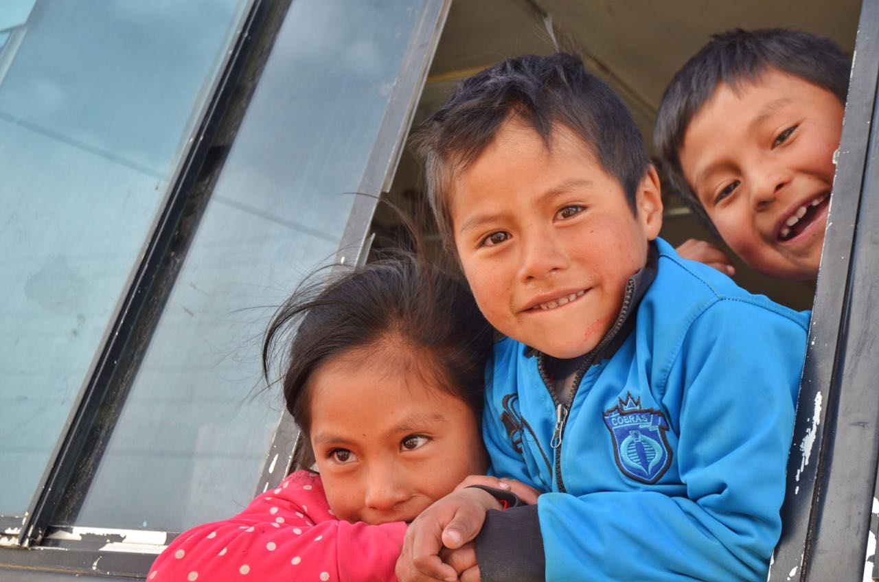 Asociado CCL: Conoce a ONG Tierra y Ser organización creada para salvar vidas