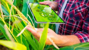 Nuevas tecnologías agrícolas están llegando al Perú