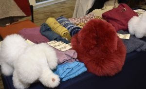 La Casa de la Alpaca: «Buscamos destacar el nombre del Perú y de las comunidades alpaqueras»