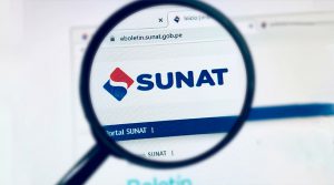 Obligación de uso del SIRE debe prorrogarse