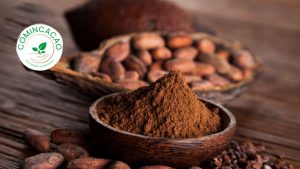 Asociado CCL: Conoce a Comincacao, la empresa especializada en alimentos naturales  