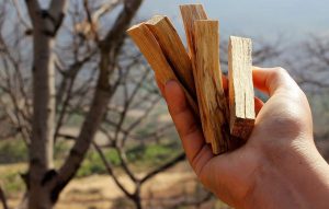 Asociado CCL: Conoce a Naturare, la empresa peruana dedicada a la venta de palo santo 
