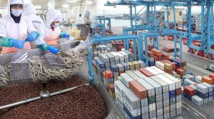 Exportaciones peruanas: ¿Qué productos estrella destacarán en Latinoamérica en 2024?