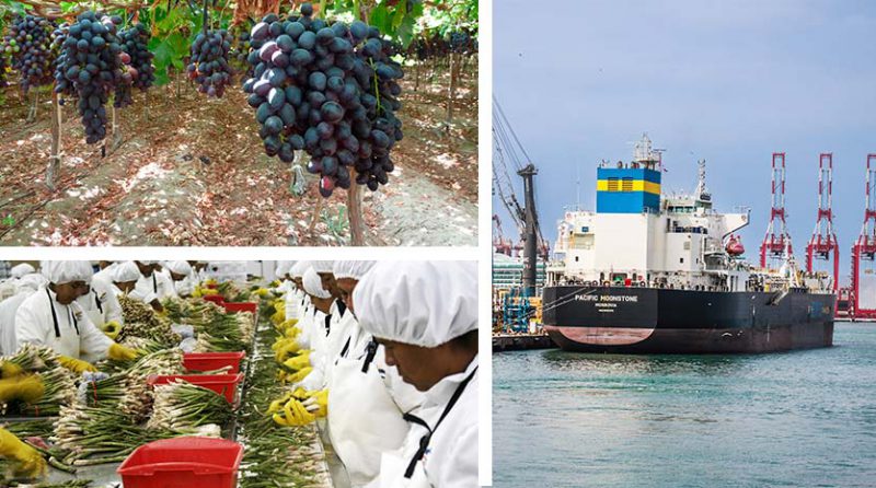 Crecimiento y contracción: un vistazo a las exportaciones peruanas en 2023