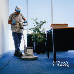 Asociado CCL: Alarga la vida de tus muebles y alfombras con Shobo’s Cleaning