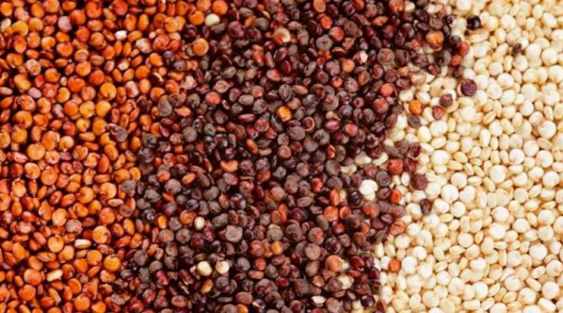 Quinua y chía lideran exportación de granos andinos