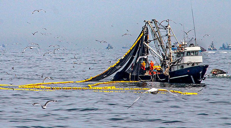 “Defendamos nuestro mar y la biomasa de nuestras especies”