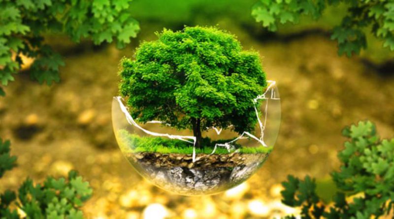 BIC: Tres letras que te identifican como una empresa con propósito