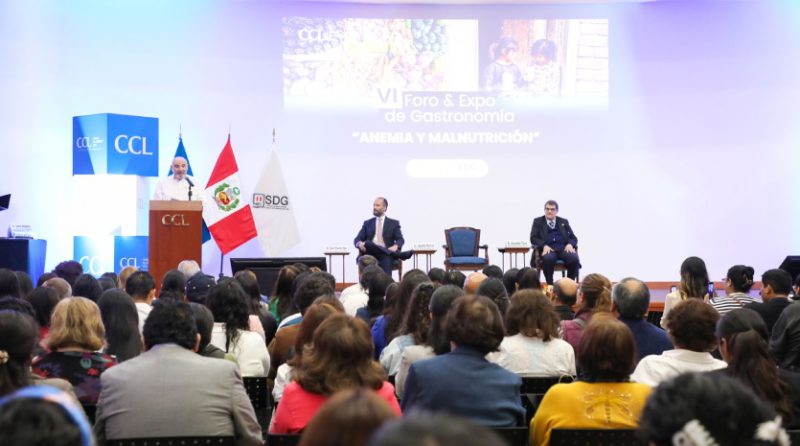 Combatir la anemia, desnutrición y obesidad infantil le cuesta al país S/10 500 millones