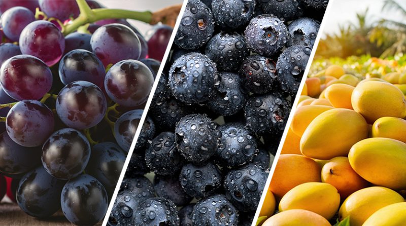 ‘Cultivos no tradicionales recuperarán su productividad en el primer trimestre del 2025’