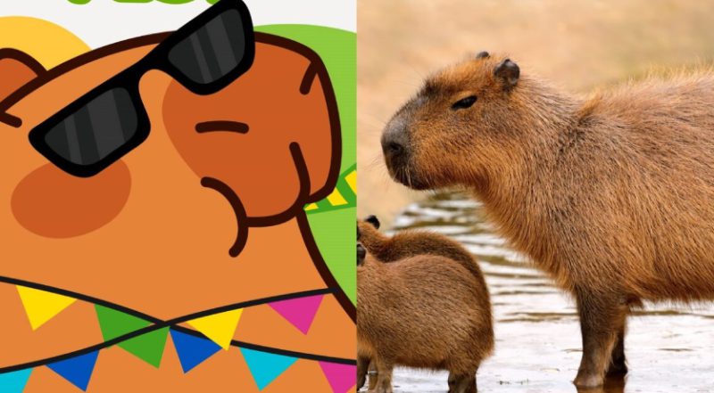 Capibara Fest: ¿Dónde y cuándo se llevará a cabo?