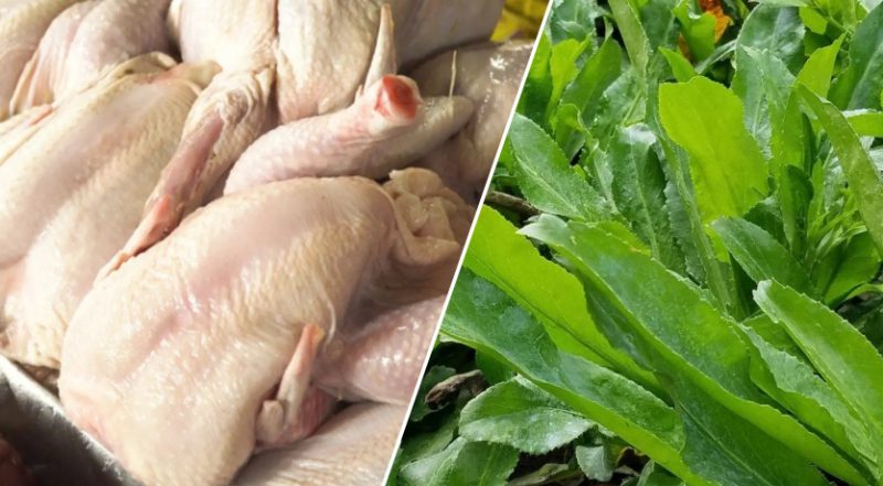 El pollo y el culantro fueron los productos que bajaron de precio en enero