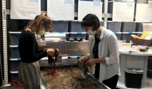 3R Contrata Perú SAC BIC se une a Matter of Trust como HUB Perú