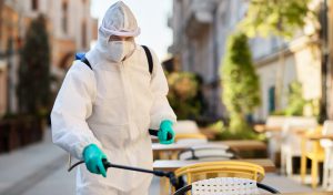 Fumiplagas Ecologi brinda soluciones ecológicas para un entorno libre de plagas