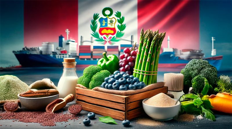 Guía para exportar: pasos claves para internacionalizar tu empresa