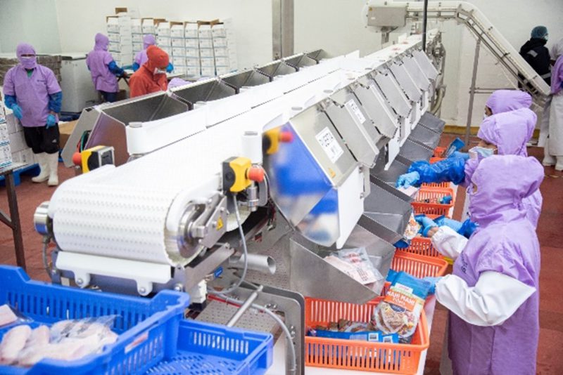 Piura exporta más de 9 mil toneladas de pota y pescado a Europa y Japón