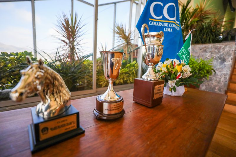 Carrea Hípica. Foto: CCL