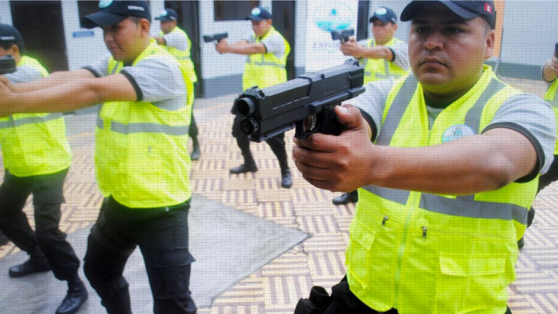 Congreso aprueba que serenos puedan usar armas de electrochoque