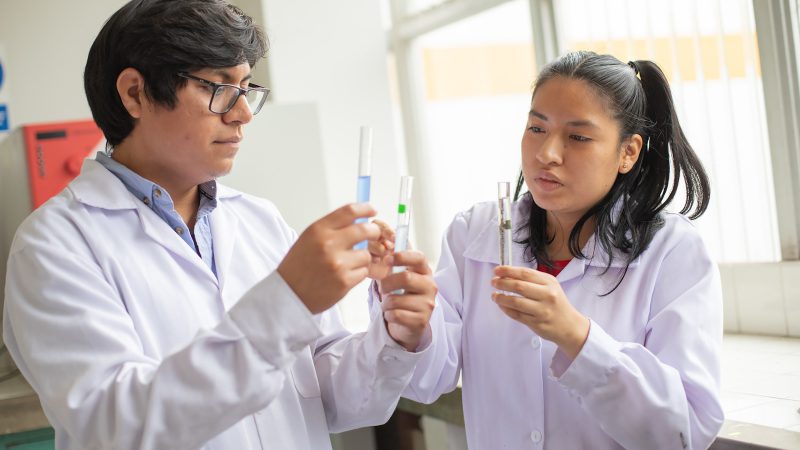 ¿Postulaste a Beca 18? Revisa si estás entre los seleccionados de Pronabec