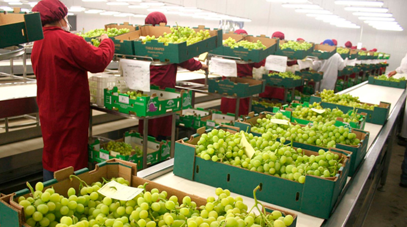 Las agroexportaciones alcanzaron casi US$ 3 000 millones (enero-marzo).