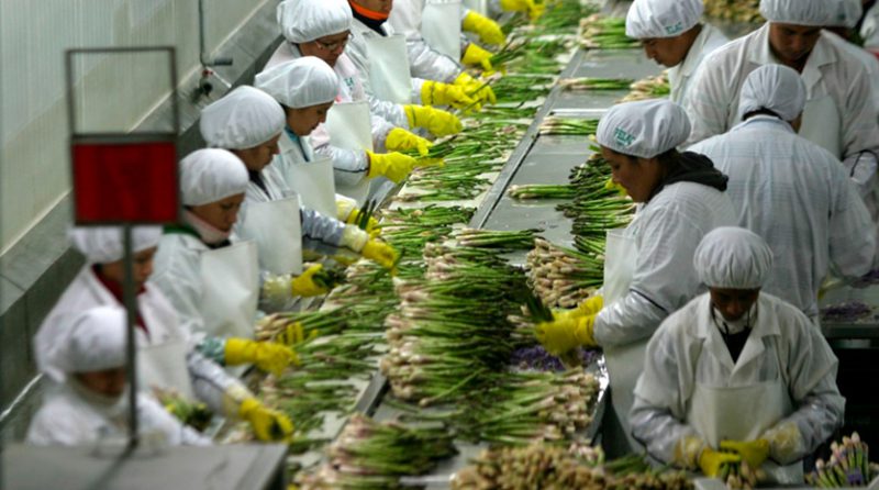 Mincetur: Exportaciones regionales crecen 22 % a octubre, con siete regiones en niveles históricos