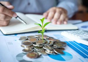 ¿Cómo convertir las utilidades en una oportunidad financiera?