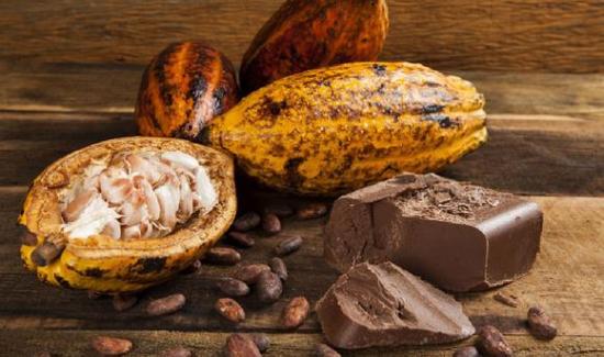 Exportación de cacao aumentó en marzo.